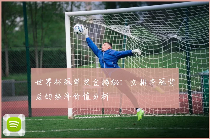 世界杯冠军奖金揭秘:女排夺冠背后的经济价值分析