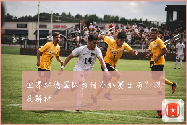 世界杯德国队为何小组赛出局？深度解析